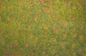 Materia 13 Twór biologiczny III, 2017