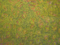 Materia 13 Twór biologiczny III, 2017