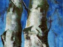 Tolkmicko II, 2017