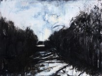 Pejzaż (Irlandia), 2015
