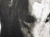 S001, 2015