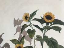 Shadow, 2018