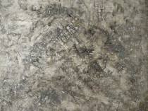 Teypeo 2VVXI, 2018