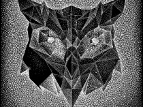 Zodiak 7, Bubo Bubo, 2018