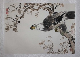 Eagle on the tree