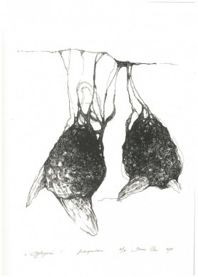 Hatching, 2015