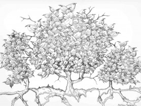 Bez tytułu 27, 2017