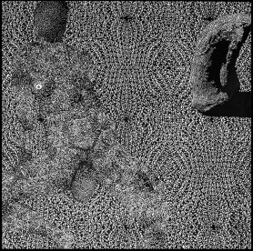 Personae Mutae, 2005