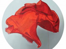The Great Red Shawl, 2016
