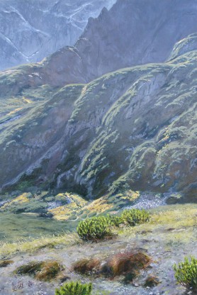 Tatra precipices, 2020