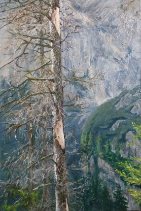 Spring in the Tatra Mountains, 2019