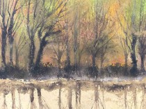 Twilight over the golden floodplain, 2021