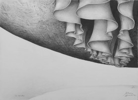 The conjunction, 2019