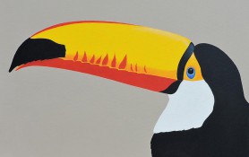Toucan, 2020