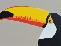 Toucan, 2020