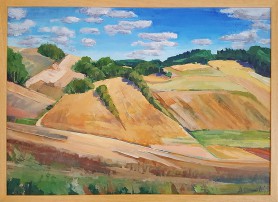Fields from near Szczebrzeszyn, 2020