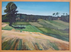 Field near Siedlce, 2020