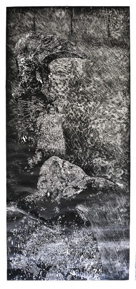 Ptaki, 2013