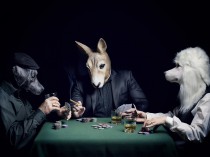The Poker Game , 2017