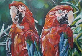 Parrots, 2021