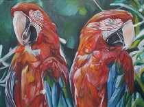 Parrots, 2021