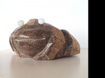 Frog, 2021
