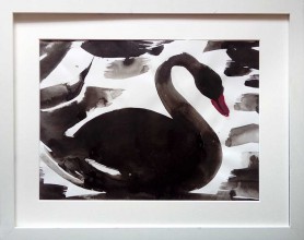 Black swan, 2021