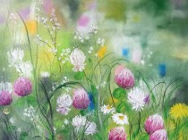 In the colours of the meadows, 2021