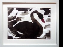 Black swan, 2021