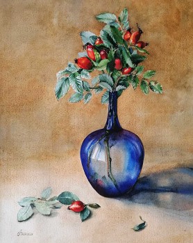 Ukrainian rose hip, 2021