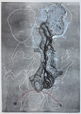 Kinetic matter XV, 2015