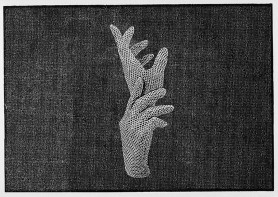 Gloves, 2009