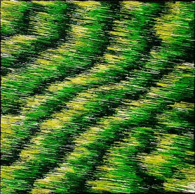 NO SIGNAL (NS_11_19_1X1), 2018