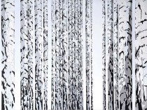 Birches, 2012