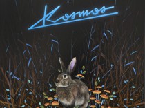 Kosmos, 2021