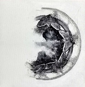 Rozety: Motylkowa, 2023