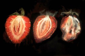 Dying sweetness, 2017