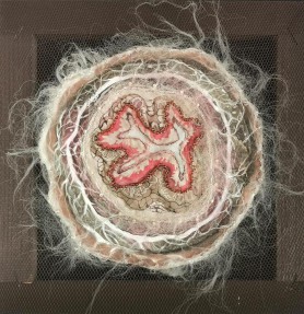 Cross-section of the oesophagus, 2021