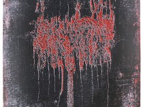Drewnowiec, 2011