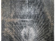 Super nova, 2005