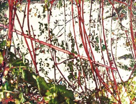 Fragmentation of Landscape VI, 2022