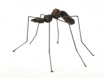 Ant XI, 2021