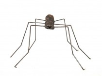 Ant X, 2021