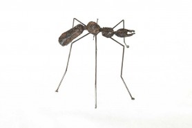 Ant IV, 2021