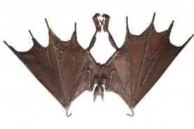 Chiroptera, 2019