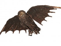 Owl-bat, 2023