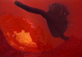 Dross-sections of fire, 2003