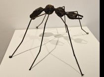 Ant XIII, 2021