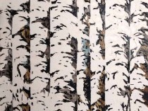 Birches, 2017 - 2023