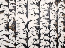 Birches, 2017 - 2023